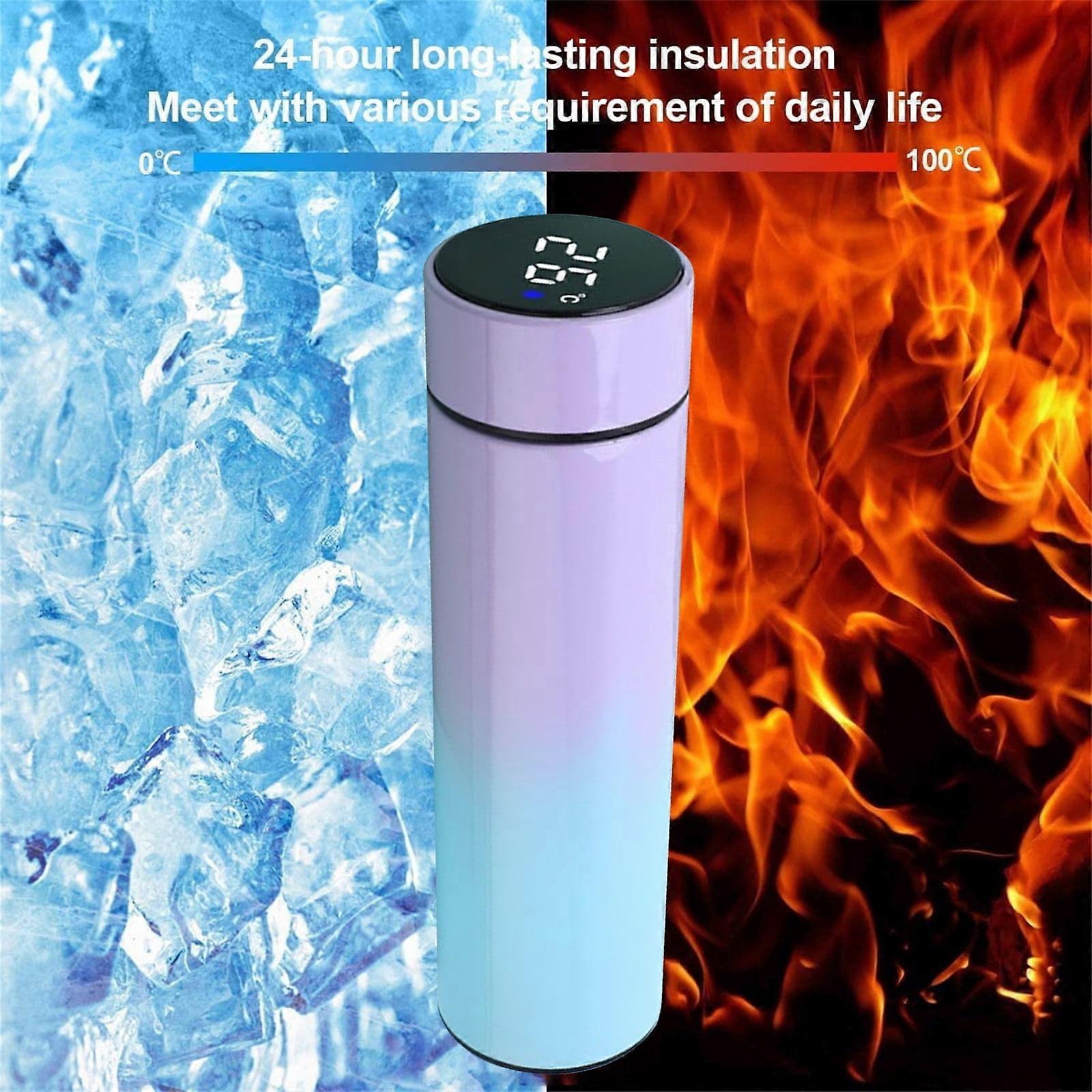 Smart Water Bottle with LED Temp Display, compatible with tea infuser, stainless steel, BPA-free, leak-proof, keeps cold & warm