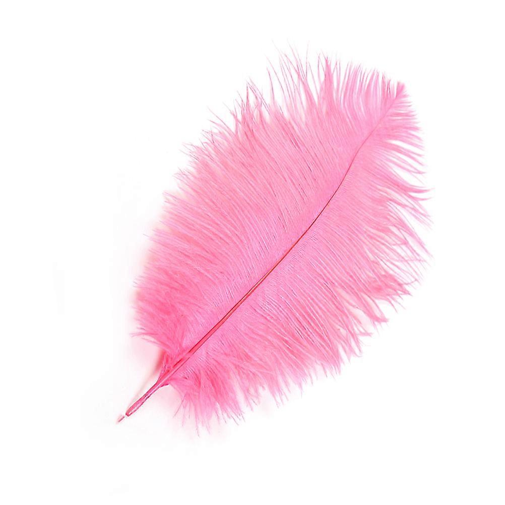 Ostrich Pink Artificial Decoration for Costume 5Pcs