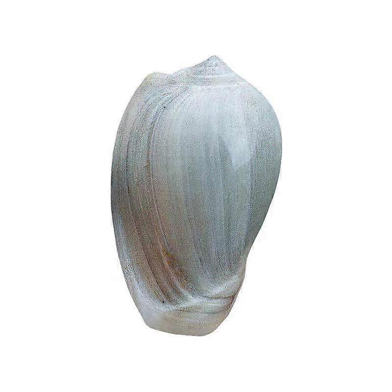 Natural Rice Conch Natural Specimen Shell For Aquarium Decoration