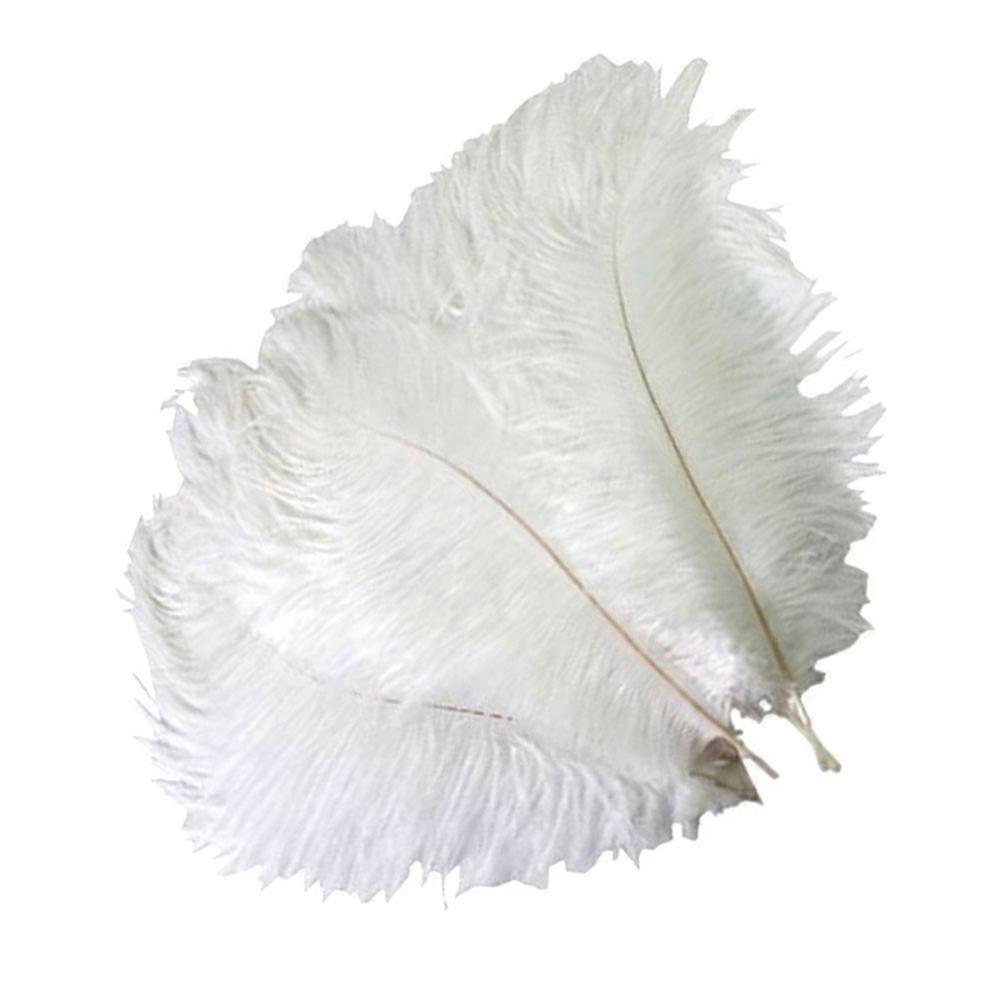 Ostrich Decoration Artificial for 5Pcs Wedding Party