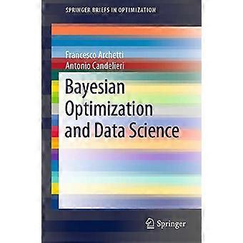 Ottimizzazione bayesiana e scienza dei dati (SpringerBriefs in Optimization)