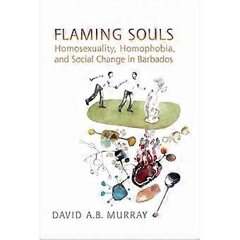Flaming Souls Homosexuality Homophobia and Social Change in Barbados