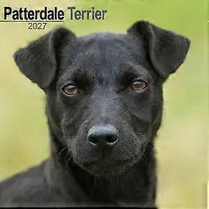 Avonside Patterdale Terrier Calendar 2026