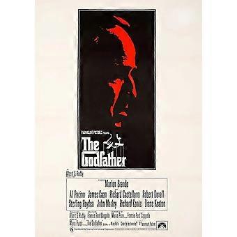 Godfather Brain-Teasing Puzzles BD-1187