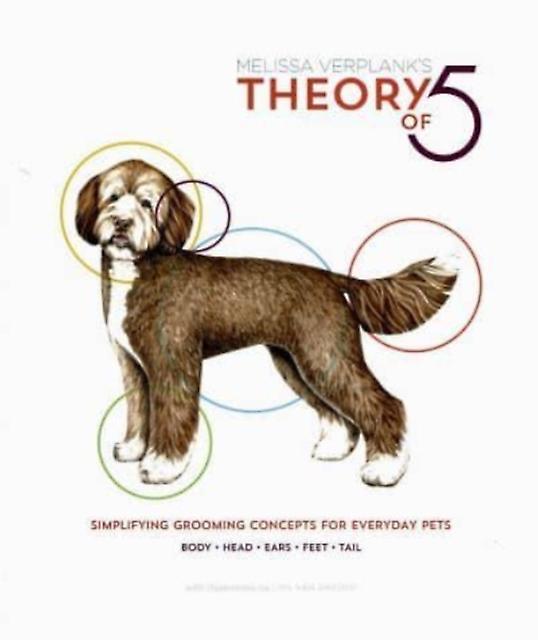 Theory Of 5 by Melissa Verplank Paperback