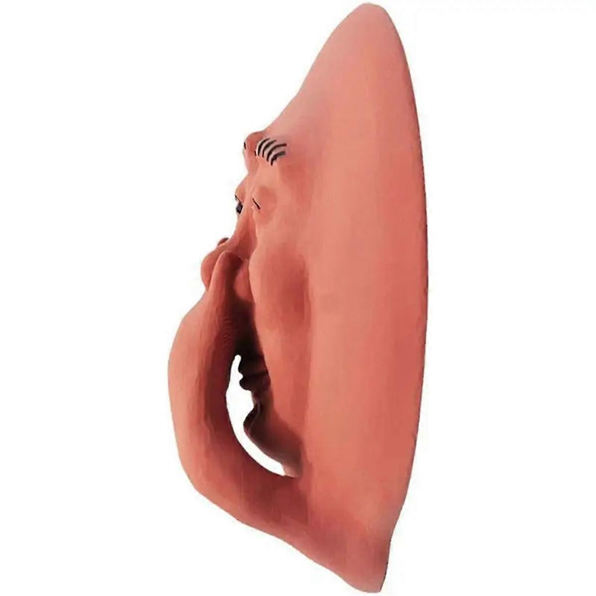 Funny Bathroom Humorous Smelly Face Wall Decor Resin Toilet Wall Art Statue for Bathroom Bedroom 1P