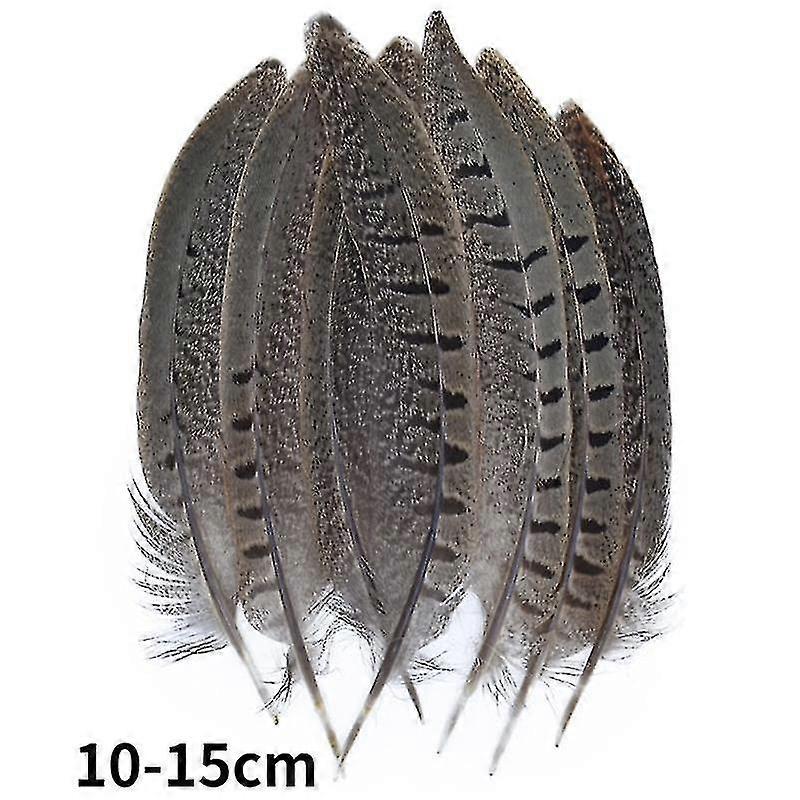 Paon naturel faisan plumes petit aigle poulet plumes autruche décor bricolage artisanat accessoires création de bijoux