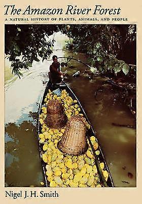 The Amazon River Forest