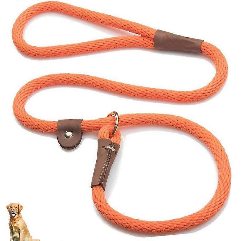 Slip Leash Dog Lead and Collar Combo for Large Breeds 1/2 in x 4 ft
