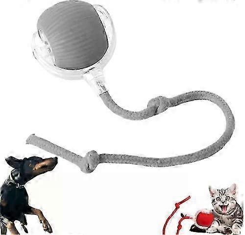 Automatic Rolling Pet Ball Toy for Dogs and Cats