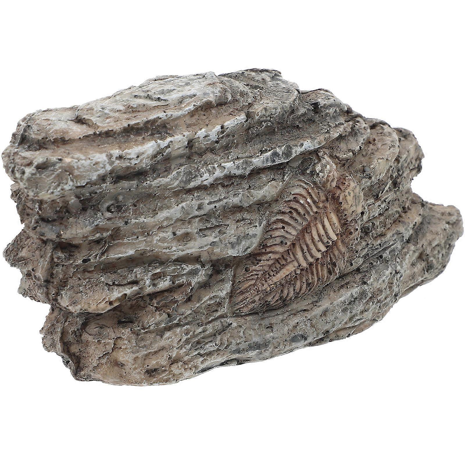 Trilobite Specimen for Decor Made of Resin Grey Color Suitable for Home Use 3.5 Inches