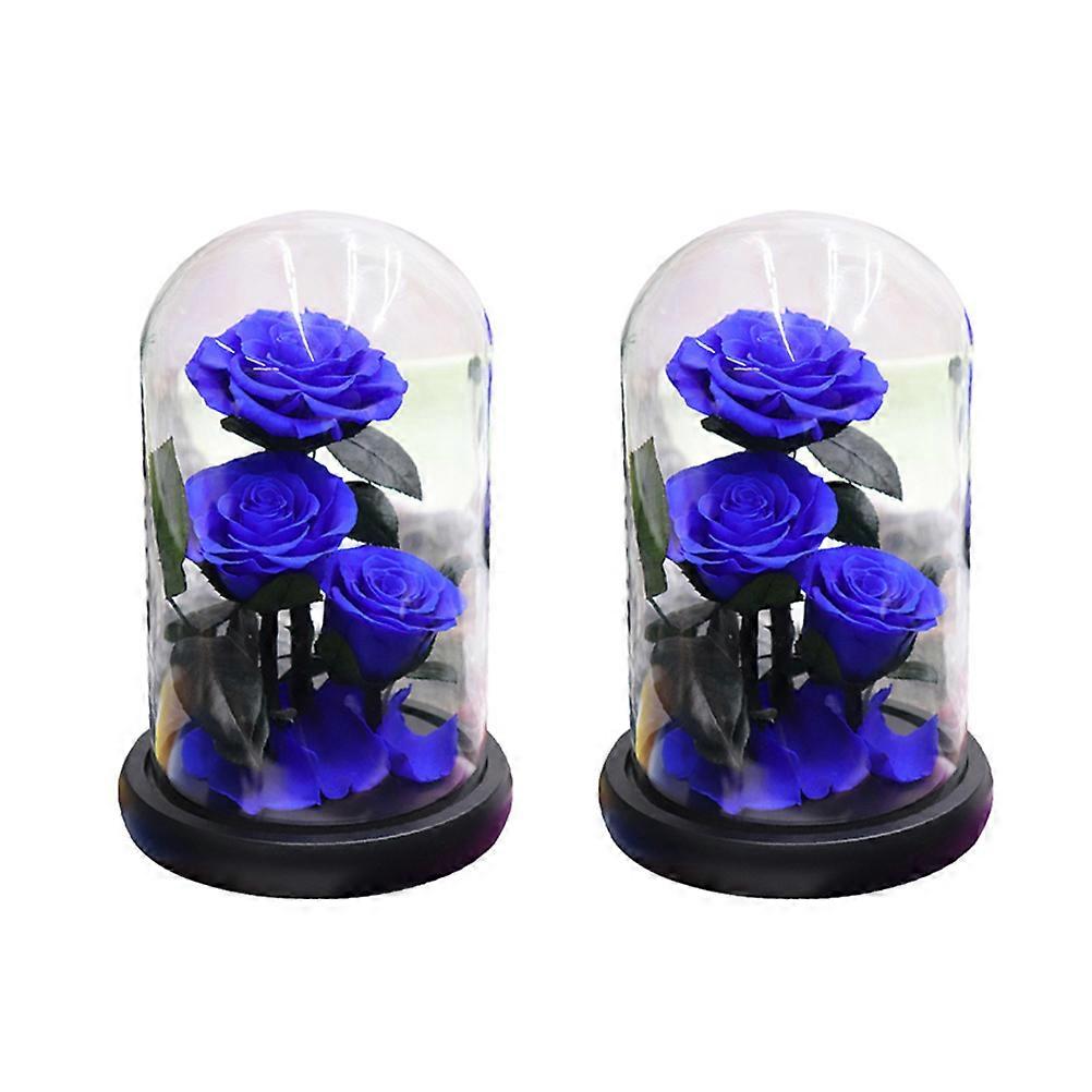 Beautiful Eternal Flower Bottle for Valentines Day 2Pcs with Glass