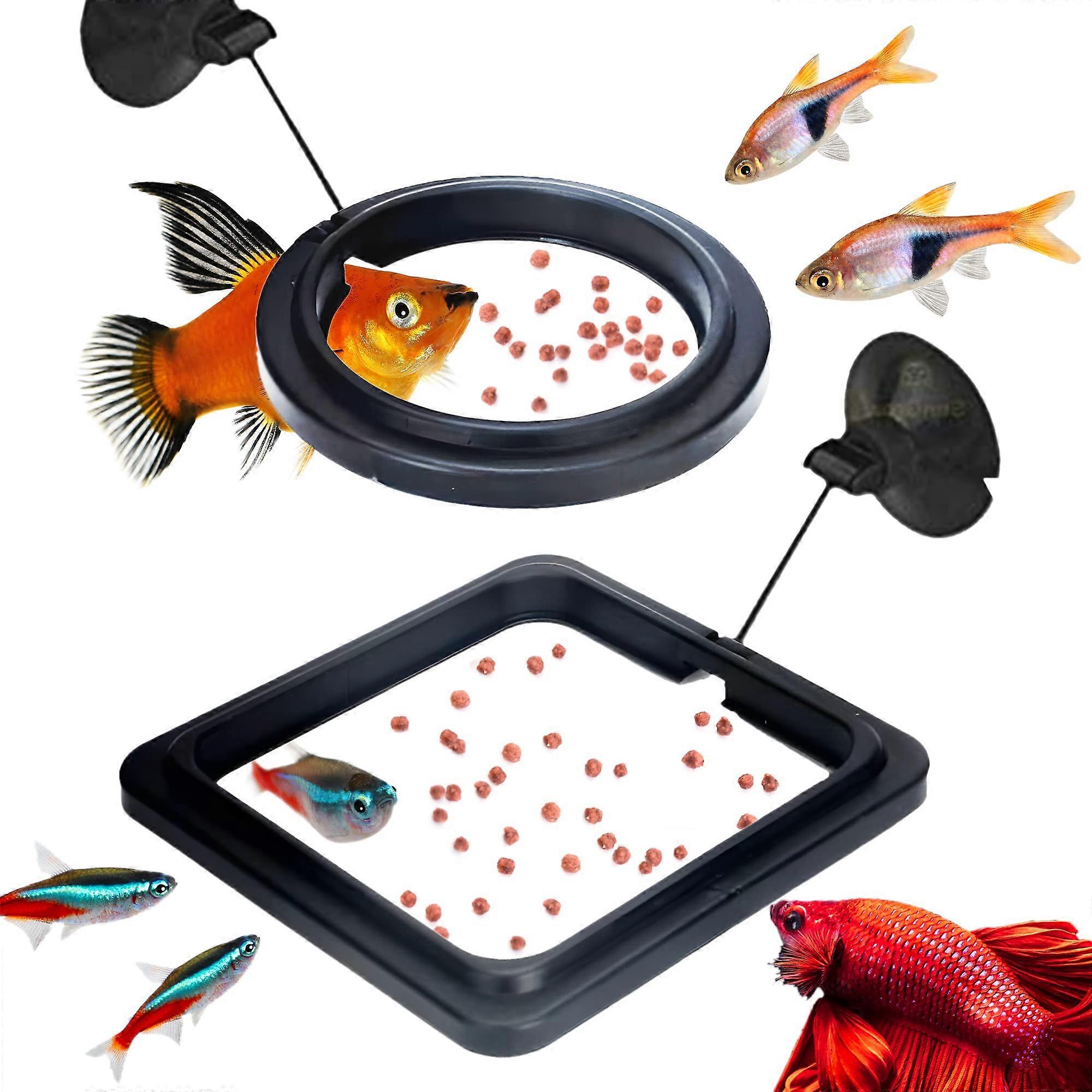 2 Betta Feeding Rings with Round Floating Design to Prevent Food from Washing into Filter, Guppy, Goldfish, Other Small Fish