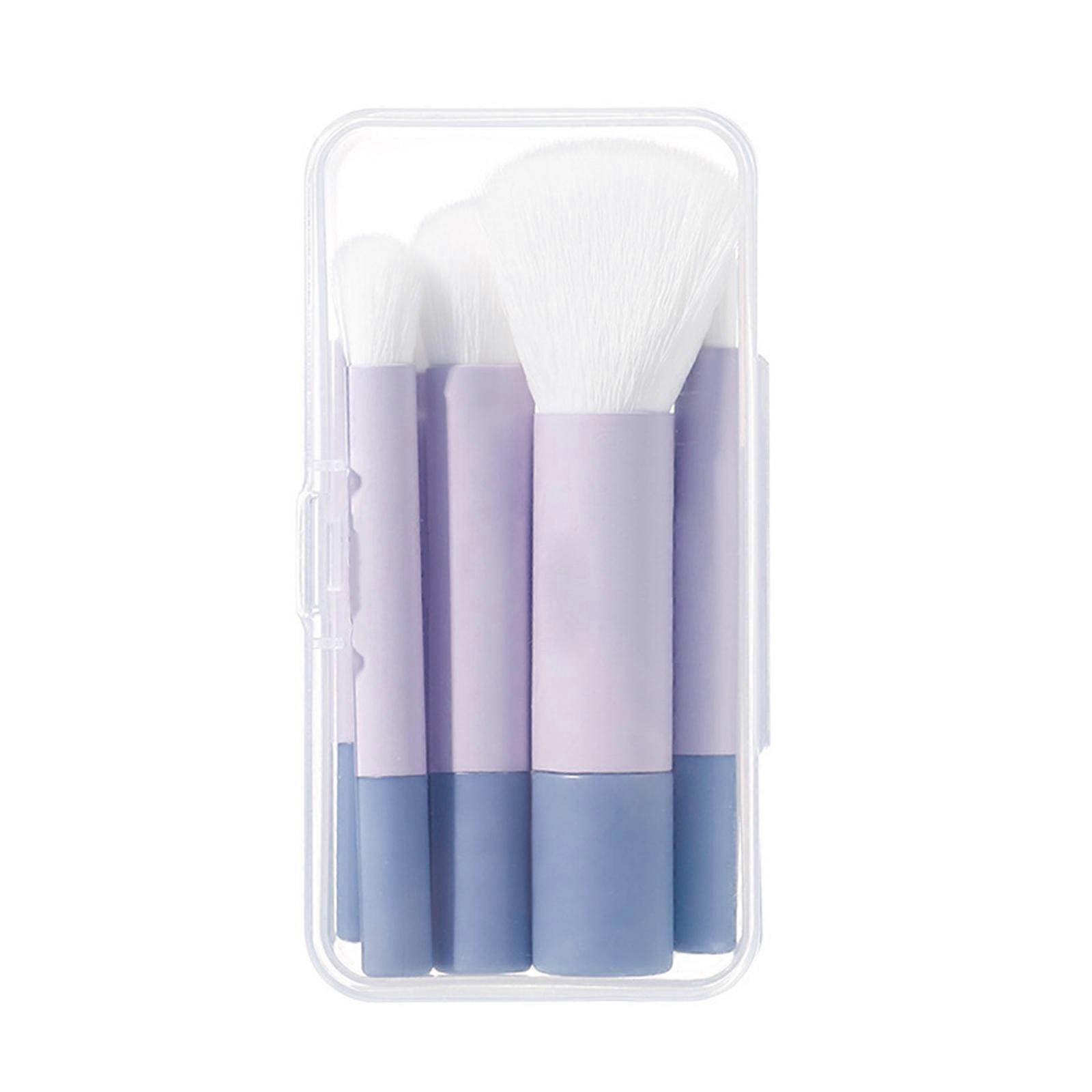 6 Pcs Cosmetic Brush Set Small Makeup Brush Set with Box Eyeshadow Brush Basic Concealer Brush Blending Brush Multicolor