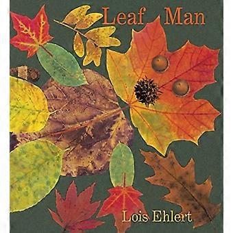 Leaf Man Board Book [Styrebok]