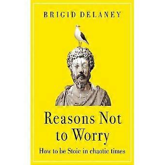 Gründe, sich keine Sorgen zu machen: Wie man in chaotischen Zeiten stoisch bleibt – Brigid Delaney – Gebundene Ausgabe – Englisches Buch – Wissenschaft, Medizin & Natur