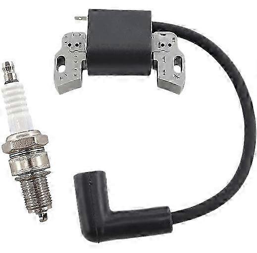 Lawn Mower Ignition Replacement Set