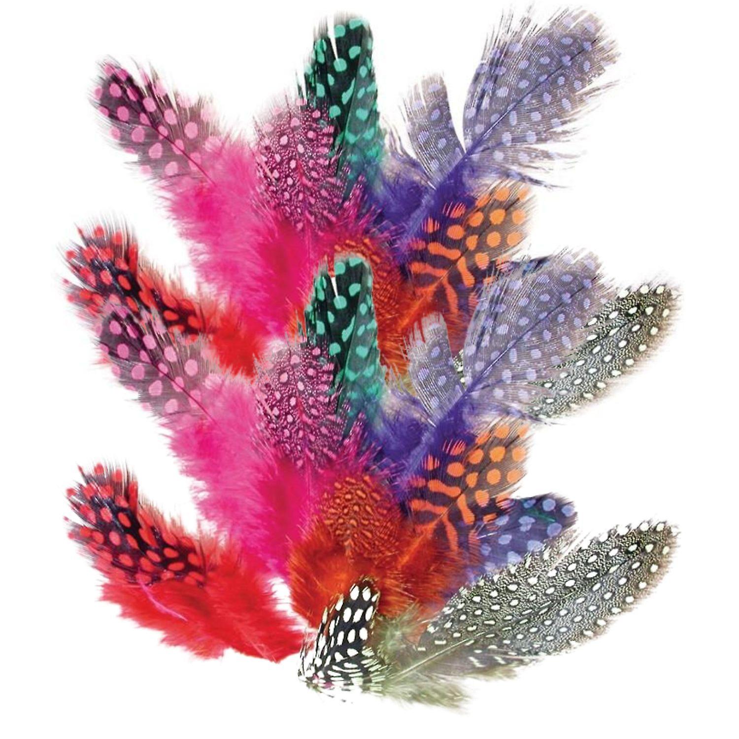 400 colored guinea fowl feathers