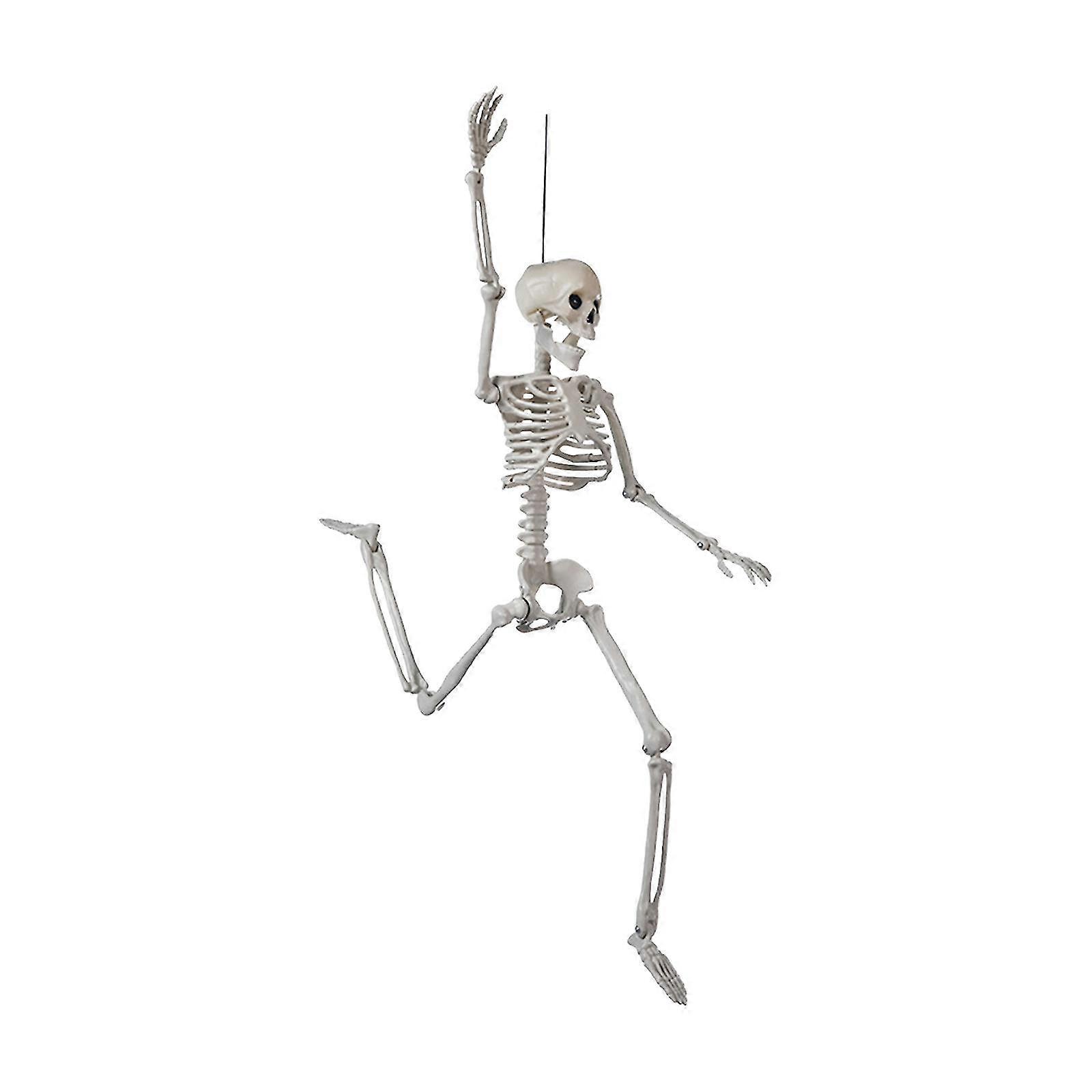 Halloween Skeleton Decorations