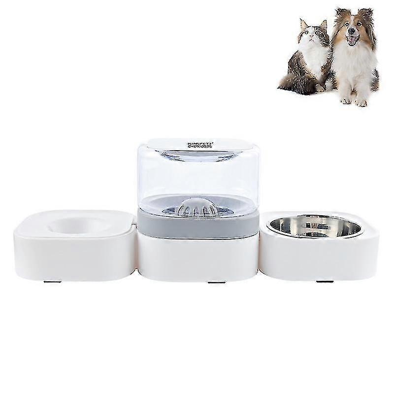 washable automatic drinking fountain stainless removable steel transparent