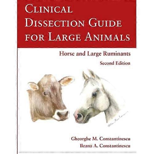 Clinical Dissection Guide for Large Animals