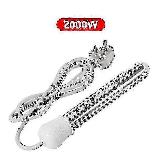 Chauffe-eau électrique flottant en acier inoxydable 220v avec éléments chauffants de 2000W à 3000W conçus pour une utilisation dans la salle de bain