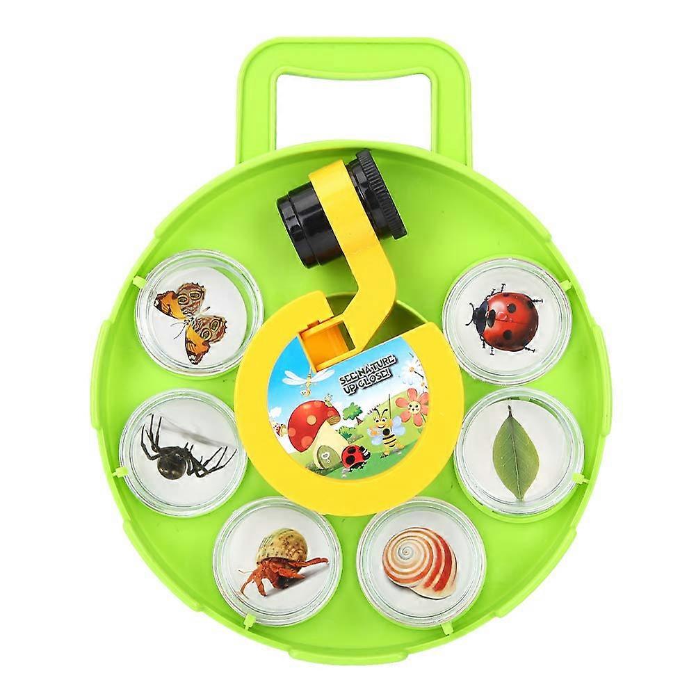 Insect capture container viewer transparent wall magnification lens educational tool for minerals plastic approx. 282g