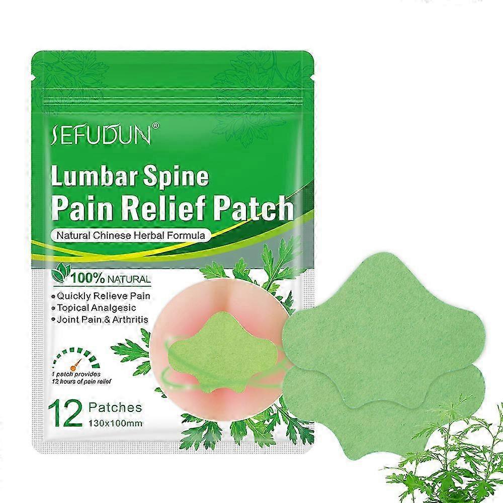 12pcs Pain Patches for Muscle Relief Natural Ingredients Herbal Patches