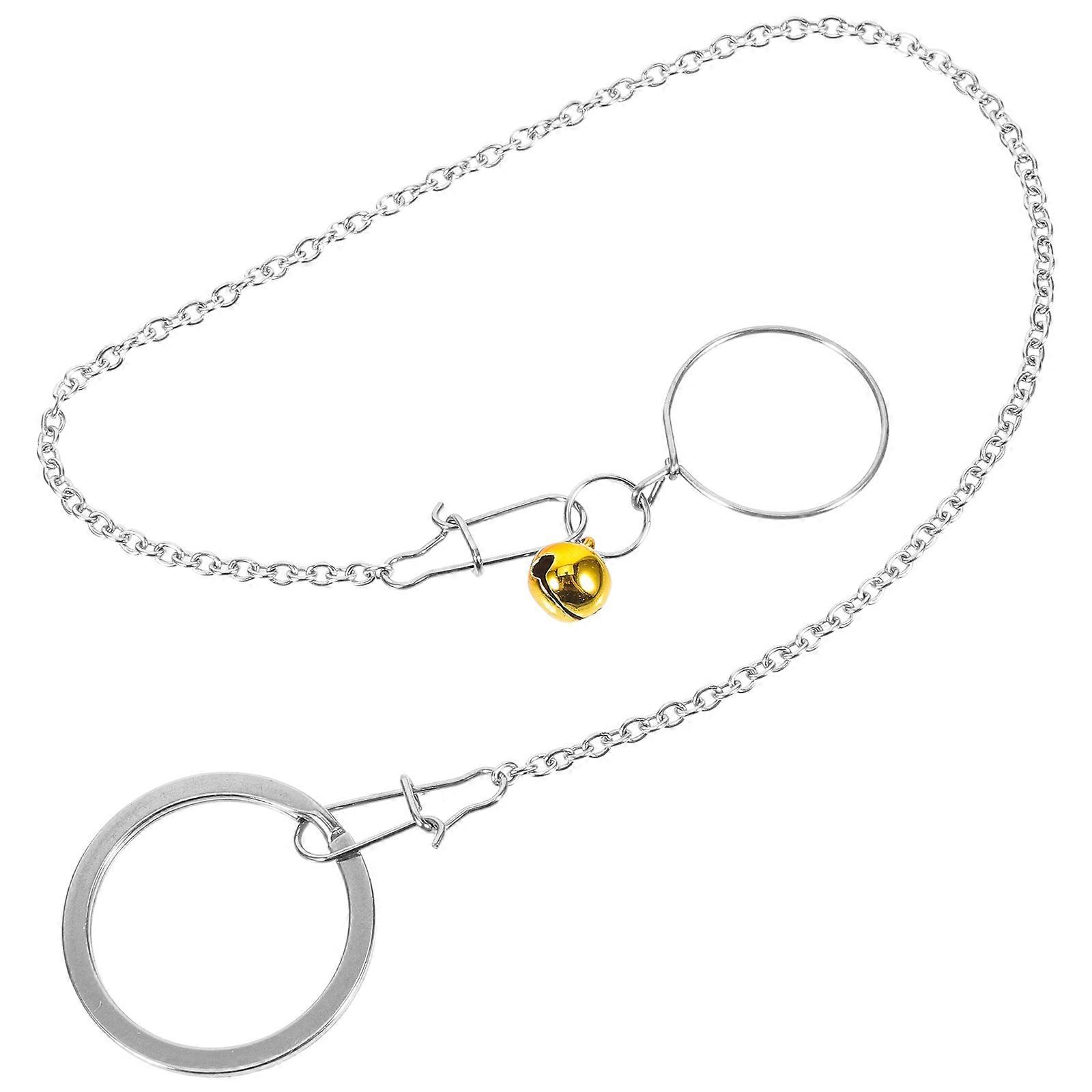 Silver Bird Leash Chain for Training with 4Sets of Parrot Neck Collars