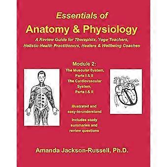 Grundlagen der Anatomie und Physiologie - Ein Wiederholungsleitfaden - Modul 2: Für Therapeuten, Yogalehrer, ganzheitliche Heiler und Wellness-Coaches