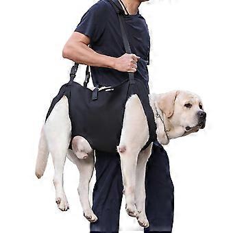 Løftevest til kæledyr, løftesele til hunde, transportør til hunde, gåture, negletrimning til seniorer