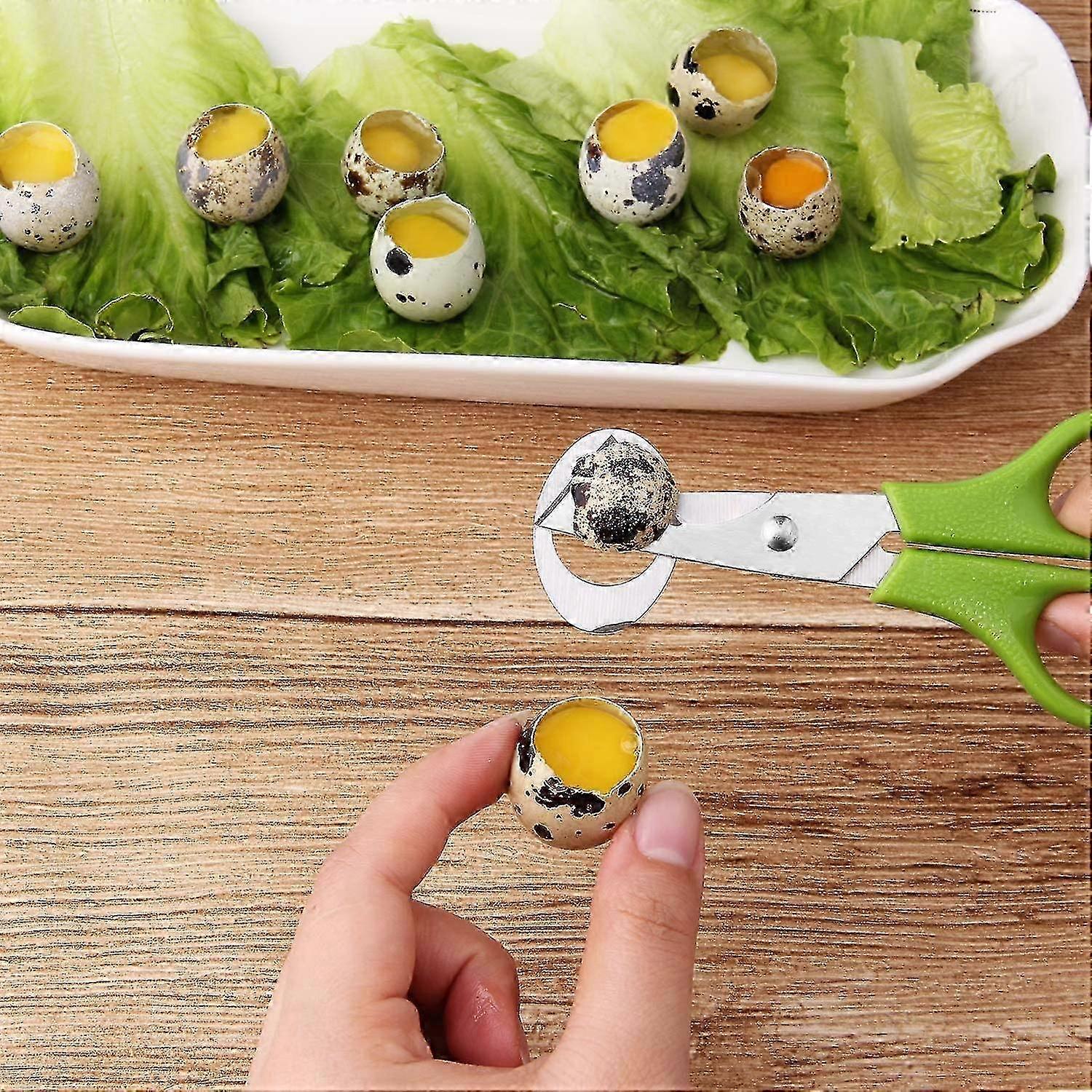 3pcs Quail Egg Cutter Scissors Kitchen Egg Shears Tool (green)
