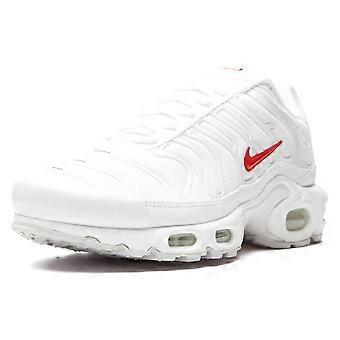 Nike Air Max Plus Supreme Blanc DA1472-100