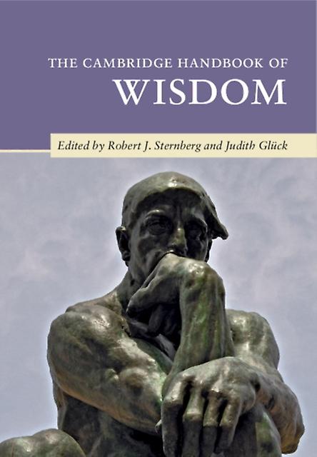 The Cambridge Handbook Of Wisdom Paperback