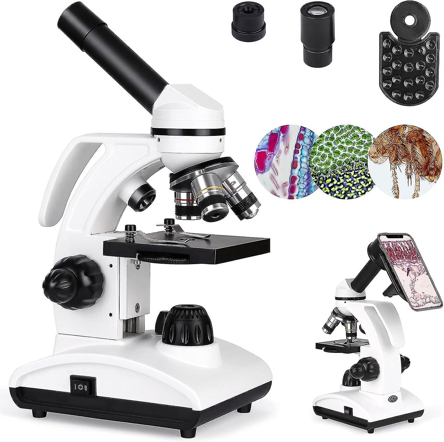 Microscopio 40x-1000x per laboratori e studenti, monoculare composto con impugnatura, oculare (wf10x/25x) e 10 cursori, con adattatore per telefono