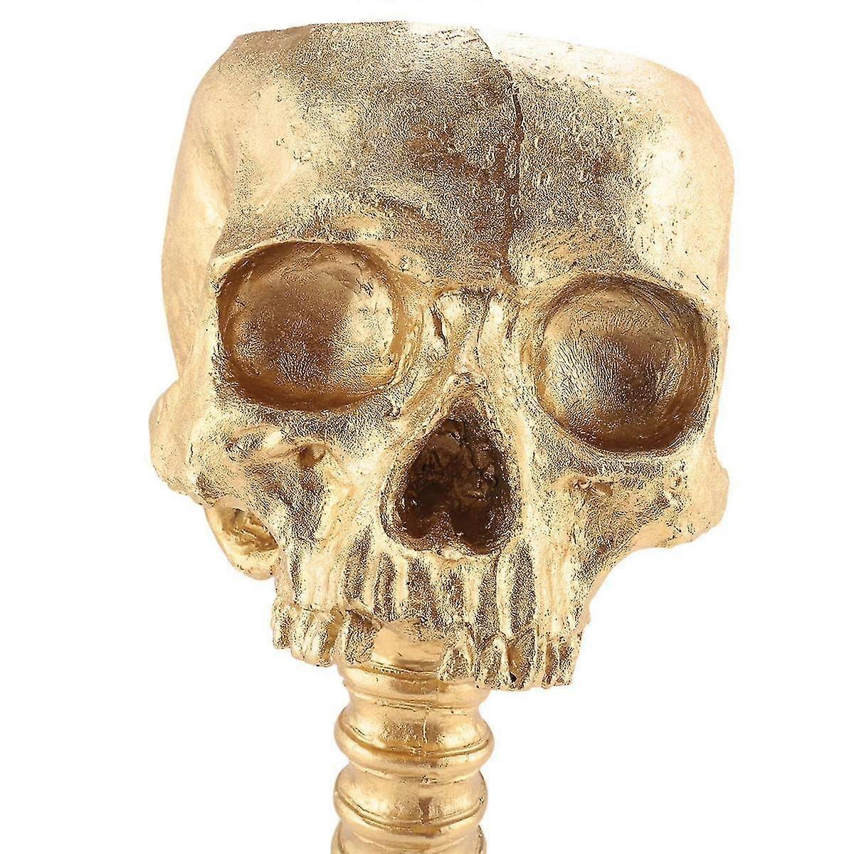 Resin Skull Planter & Spine Stand Set, Polyresin Skulls Pot, Halloween Decoration Retro Human Skull Head Flower, Gold