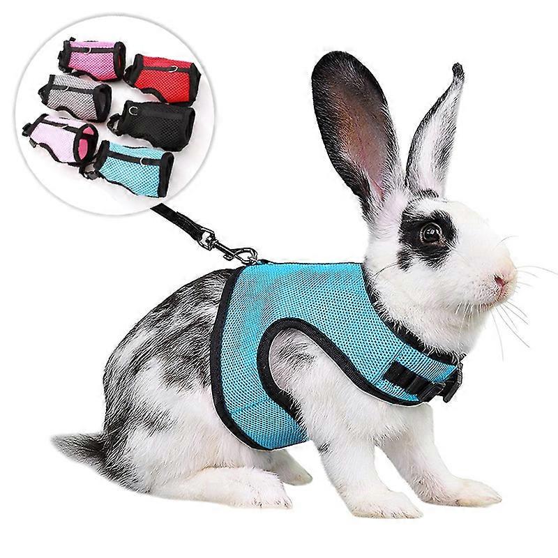 2 Harnesses for Rabbits Guinea Pigs Small Animals with Elastic Leash Soft Vest for Walks