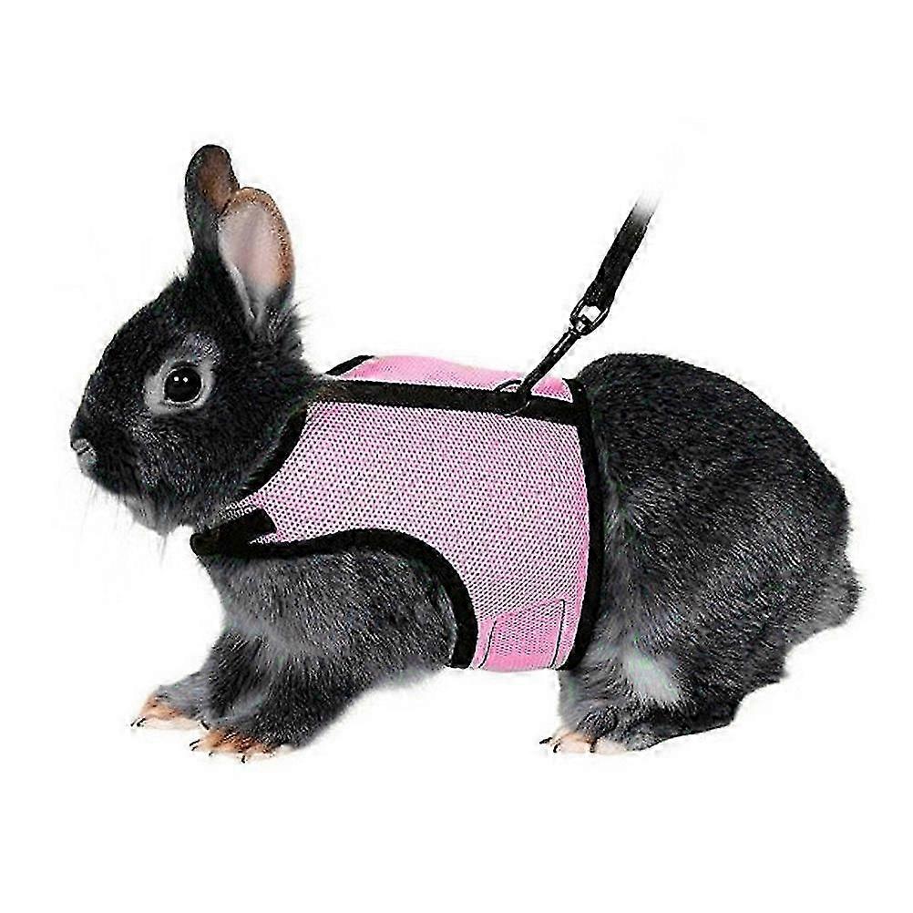 Harness with Lead for Rabbits Bunny Little Pets - Size XL(Pink)