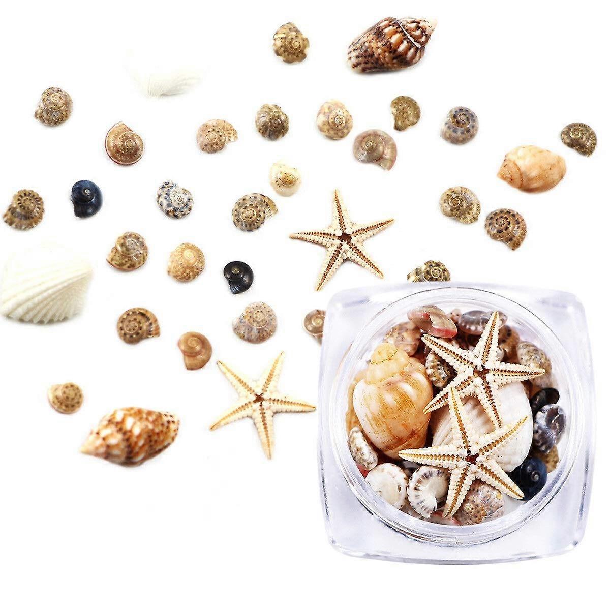 3D Shell Nail Art Decorations with Starfish and Conch Charms, Beach Theme, 2 Boxes