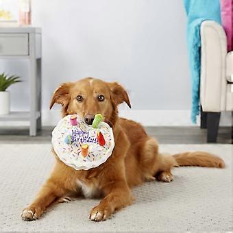 Pluche piepspeeltje in de vorm van een verjaardagstaart voor honden met kaarsje – Veilig kauwspeeltje voor honden en puppy's, leuk feestcadeau en fotoprop, geschikt voor alle kleine tot middelgrote honden.