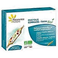 Propolis + echinacea + organic thyme 10 ampoules