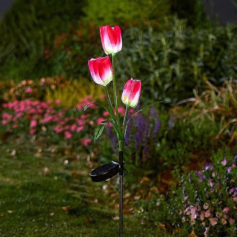 Solar Pink Tulip Pathway Lights