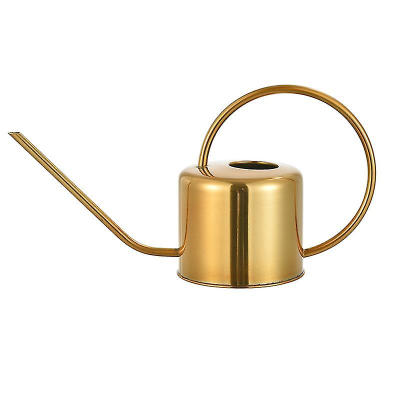 1pcs Watering Kettle For Succulents Bonsai