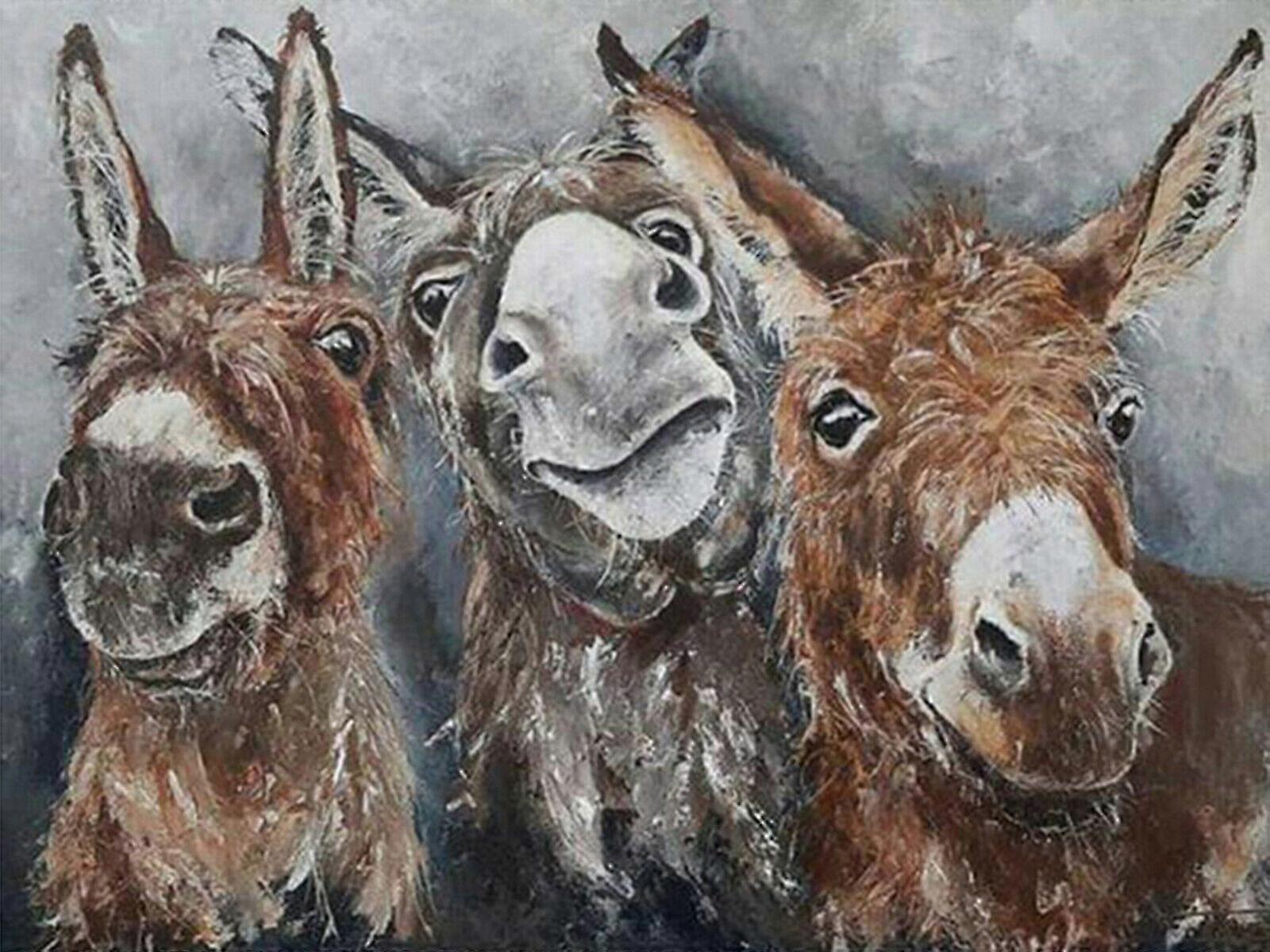 حمار الحيوان 5D دي الحفر الكامل الماس اللوحة التطريز عبر غرزة حجر الراين فسيفساء اللوحة ديكور