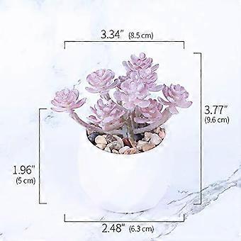 balkon blumenkasten pflanzen Balkonbox Royal White kaufen