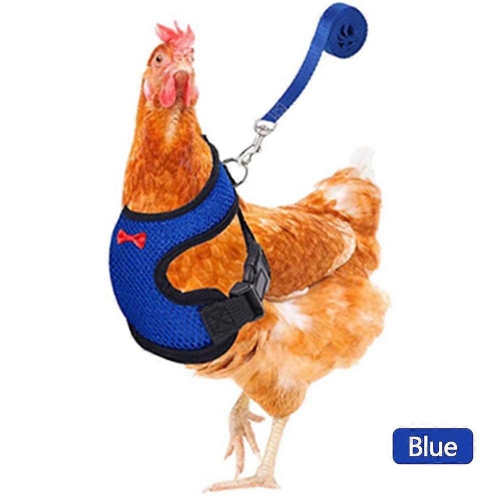 Breathable Mesh Chicken Duck Vest Leashes Poultry Hen Pet Harness With Matching Training for Walking Duck Goose Hen Rooster
