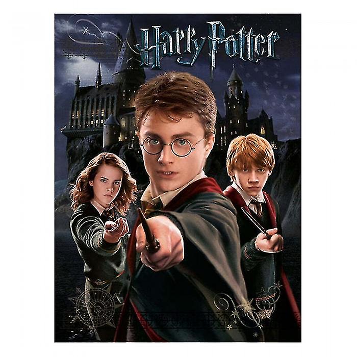 Harry Potter Canvas Print