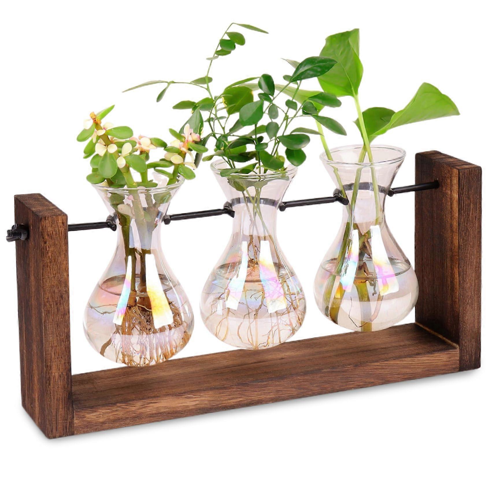 Propagation Station 3-Piece Set - Iridescent Gradient Light Bulb Vases With Wood Stand, Terrarium for Hydroponics
