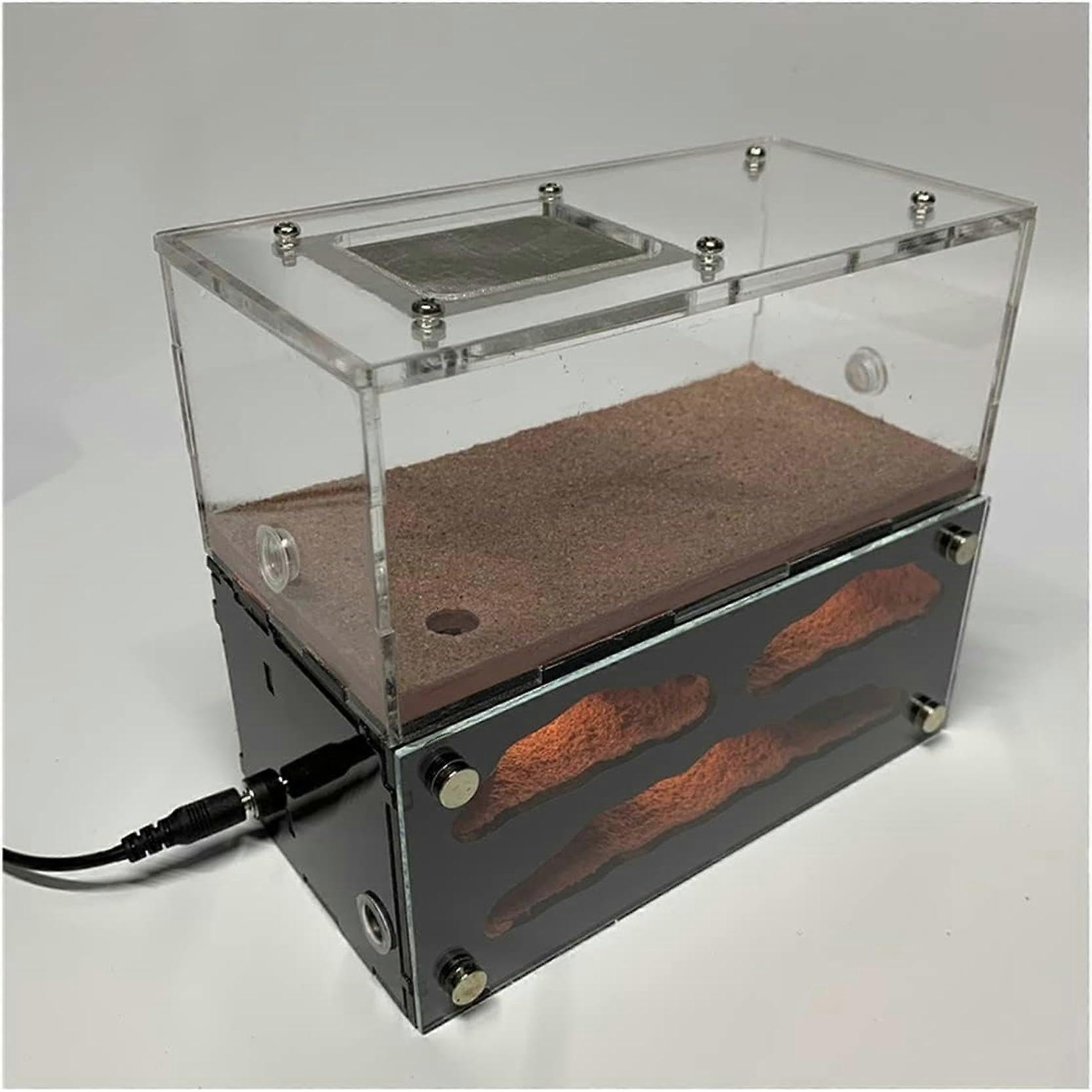 Ant Farm Educational Kit With Plaster Nest, 3-Lights, Formicarium Display Box - Great For Education