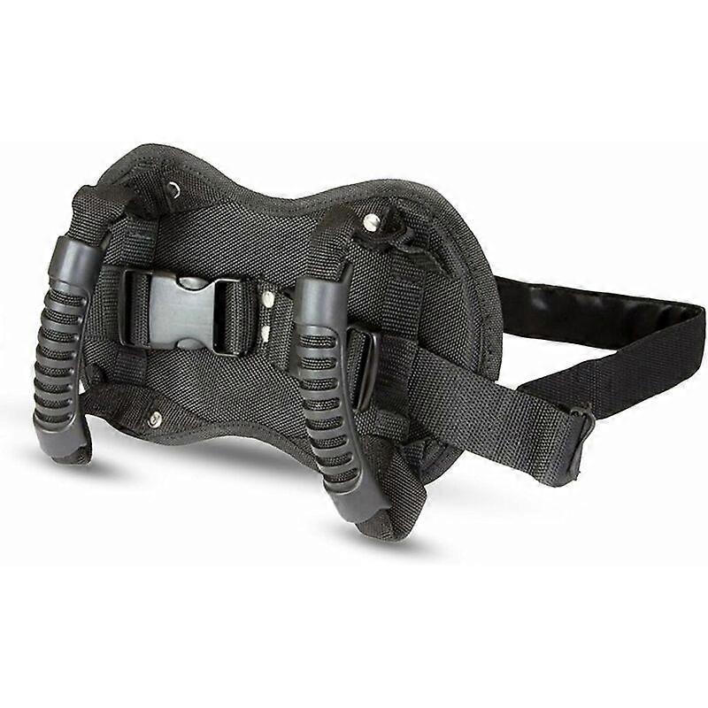Motorcycle and Scooter Safety Belt, Adjustable Handle for Child Front Passenger